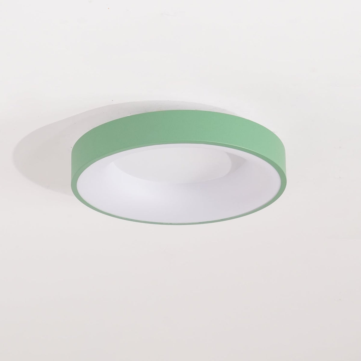 Jareth Ceiling Light Iron Contemporary Green Shade