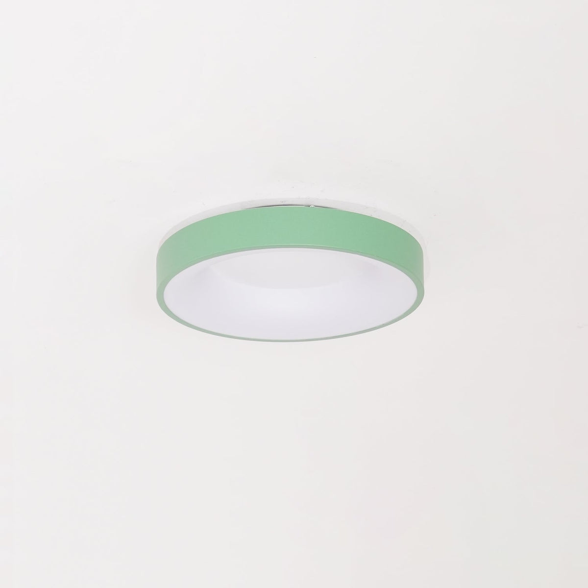 Jareth Ceiling Light Iron Contemporary Green Shade