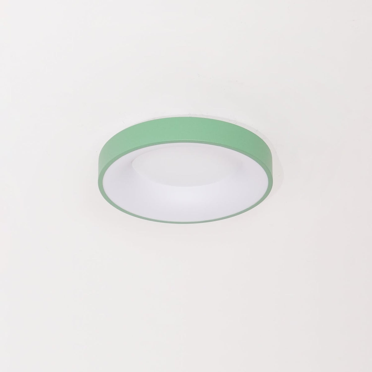 Jareth Ceiling Light Iron Contemporary Green Shade
