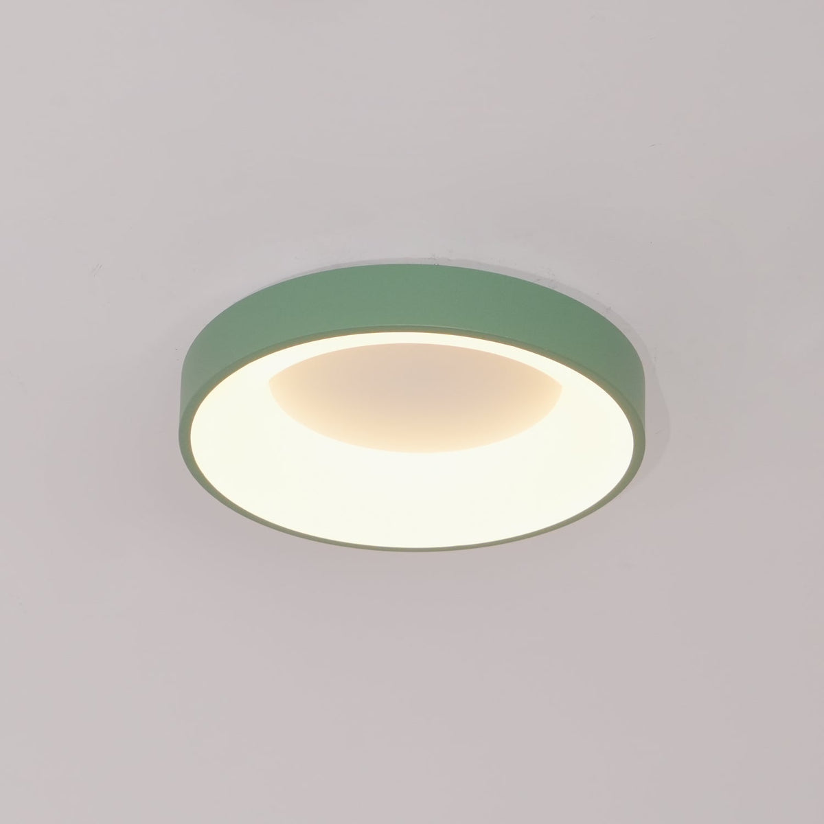 Jareth Ceiling Light Iron Contemporary Green Shade