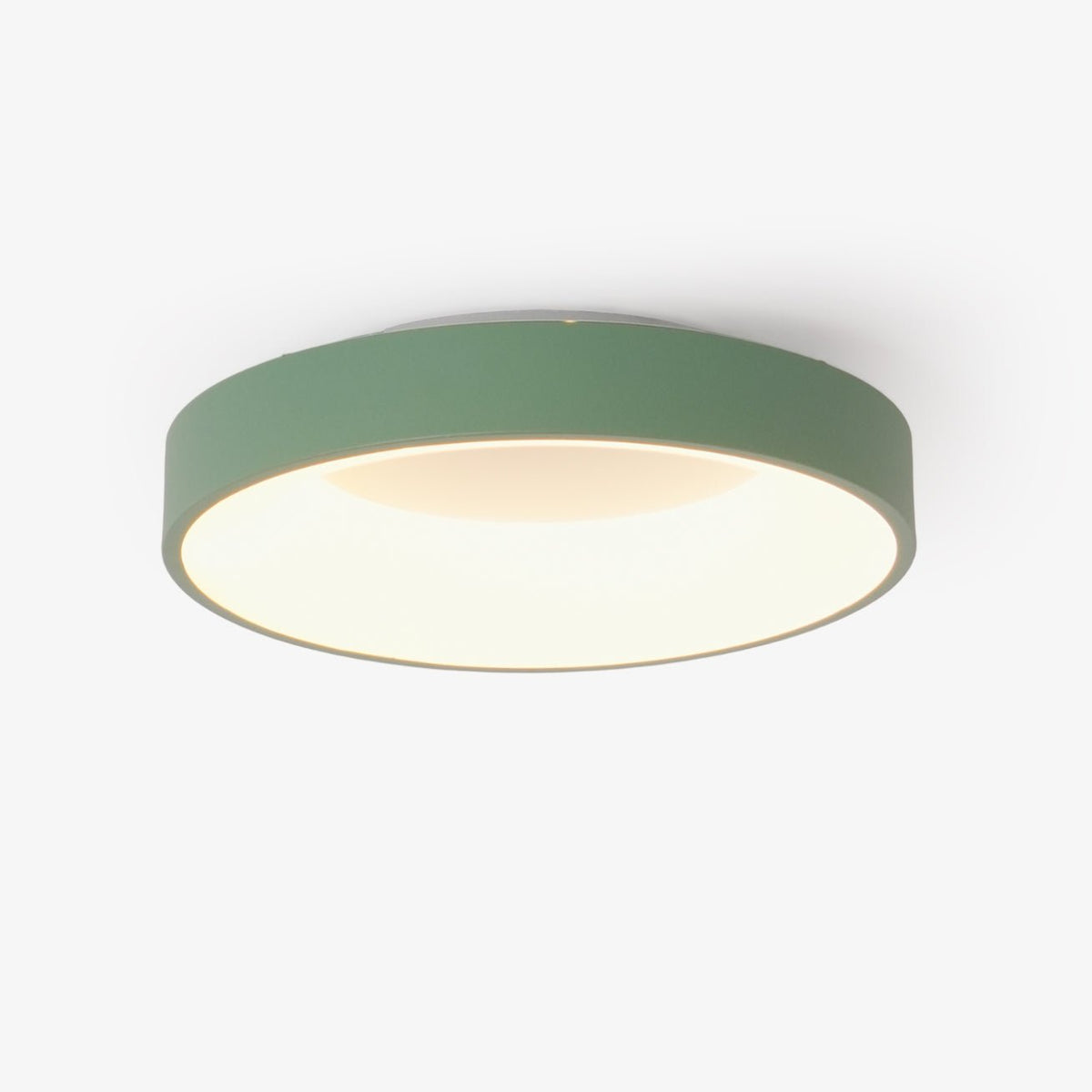 Jareth Ceiling Light Iron Contemporary Green Shade