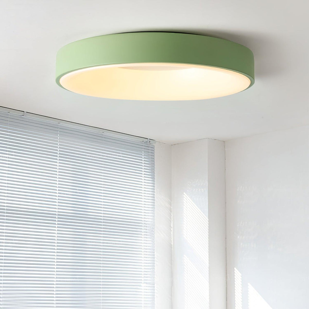 Jareth Ceiling Light Iron Contemporary Green Shade