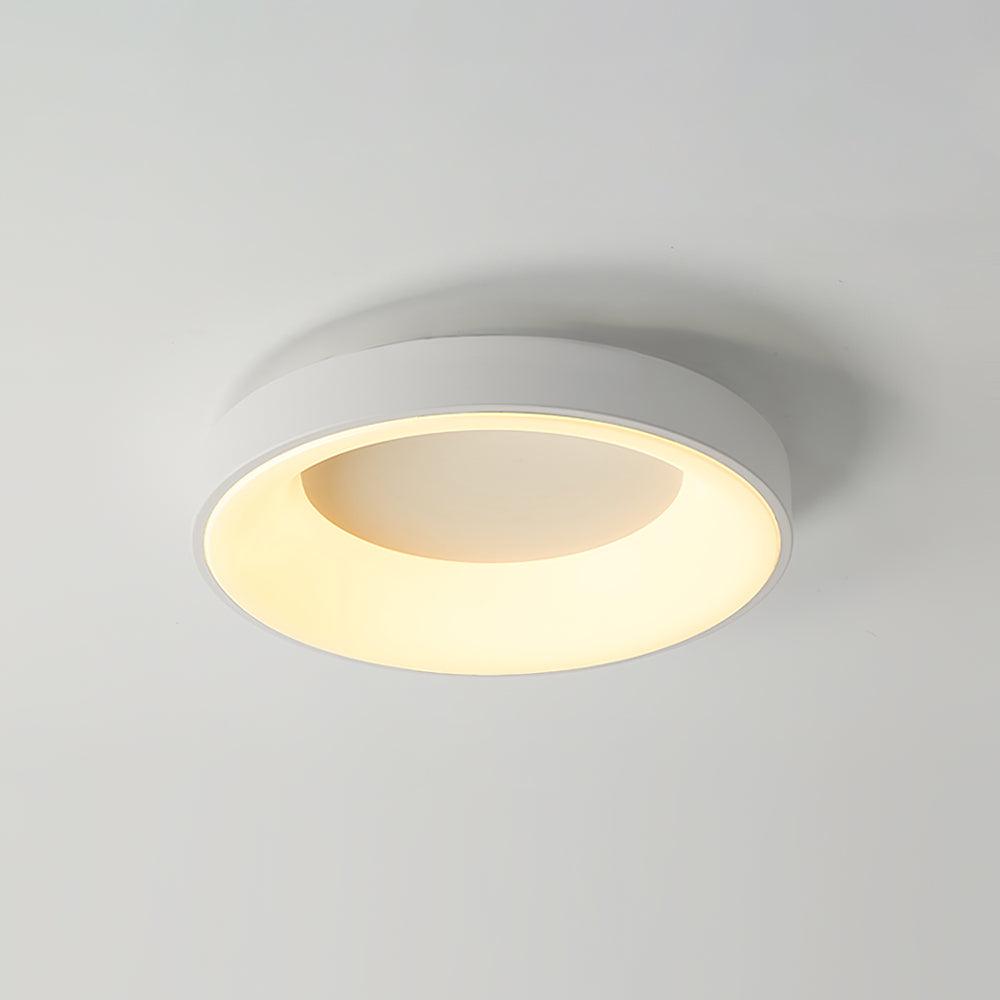 Jareth Ceiling Light Iron Contemporary Green Shade