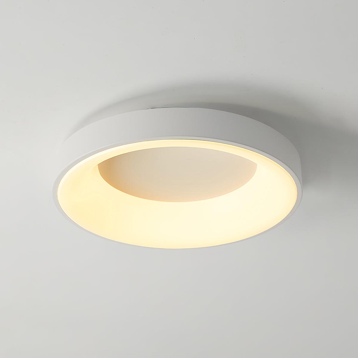 Jareth Ceiling Light Iron Contemporary Green Shade