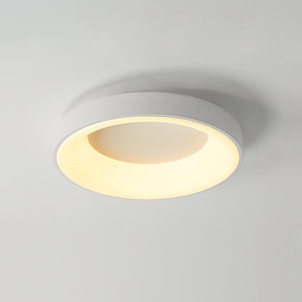Jareth Ceiling Light Iron Contemporary Green Shade
