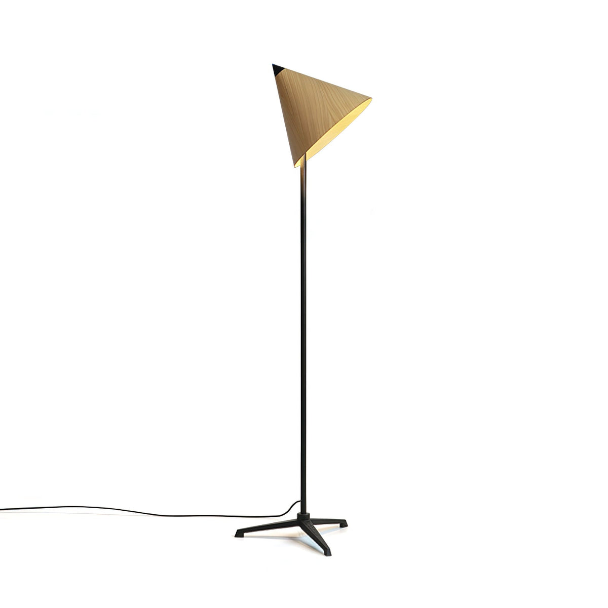 Elaelise Floor Lamp
