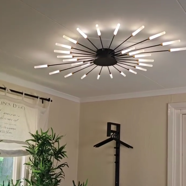 Kovon Flush-Mount Ceiling Light Fireworks, Black/Gold-Neutral Decor