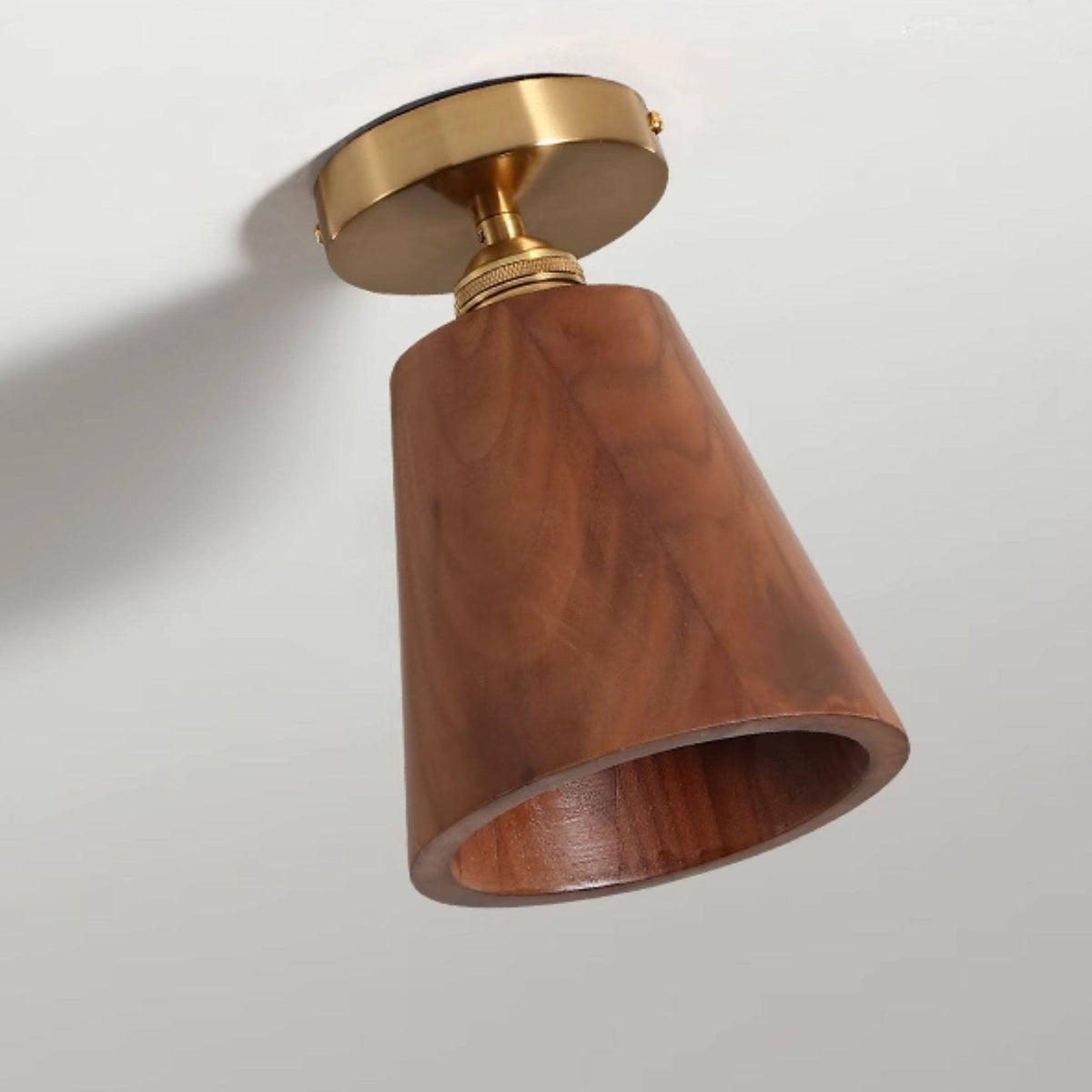 Lioruaya Ceiling Light