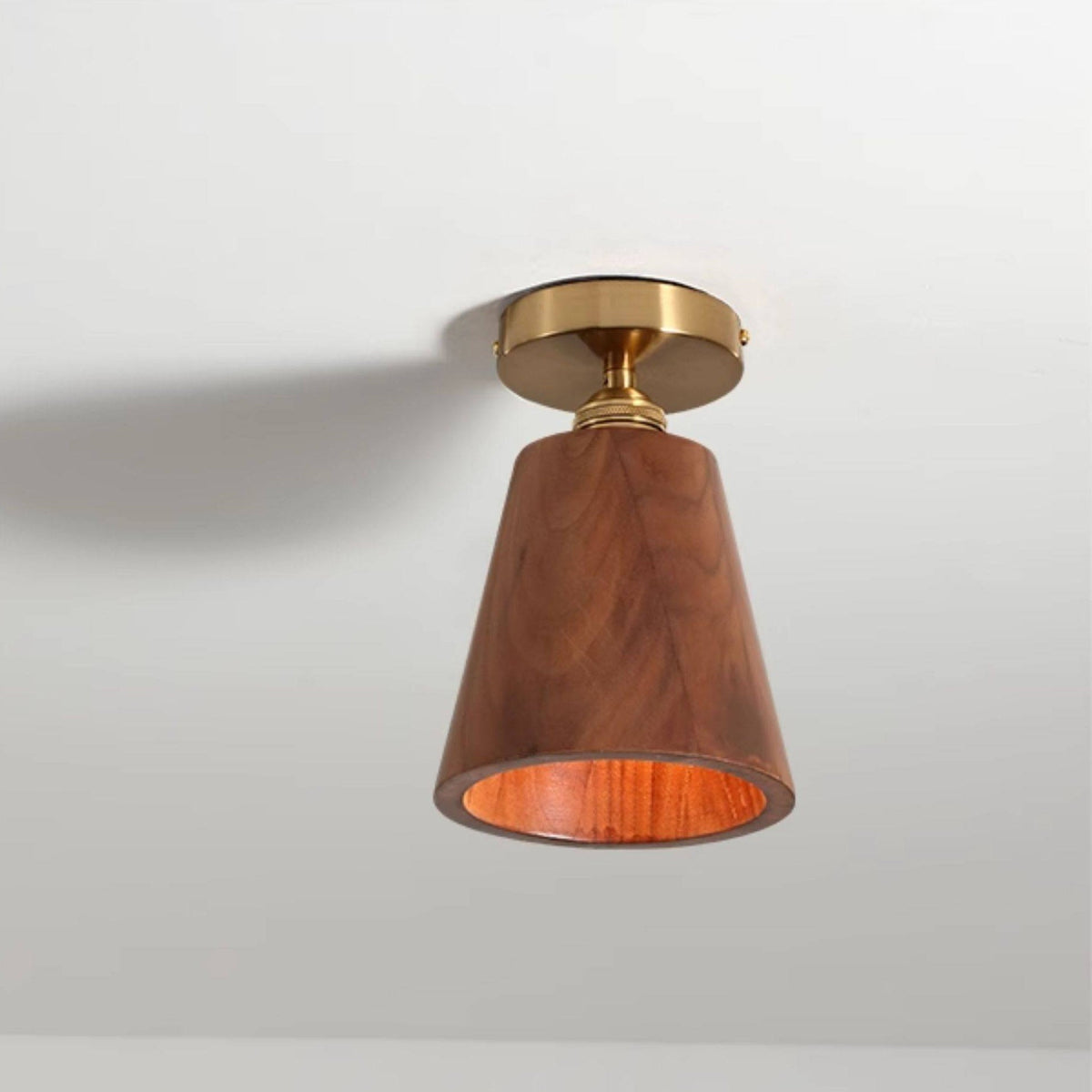 Lioruaya Ceiling Light