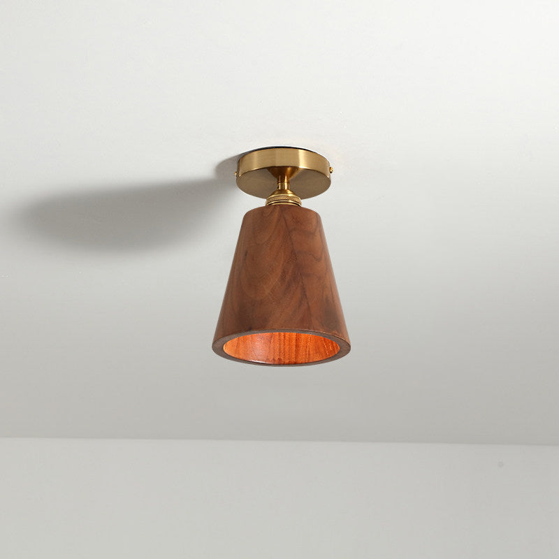 Lioruaya Ceiling Light