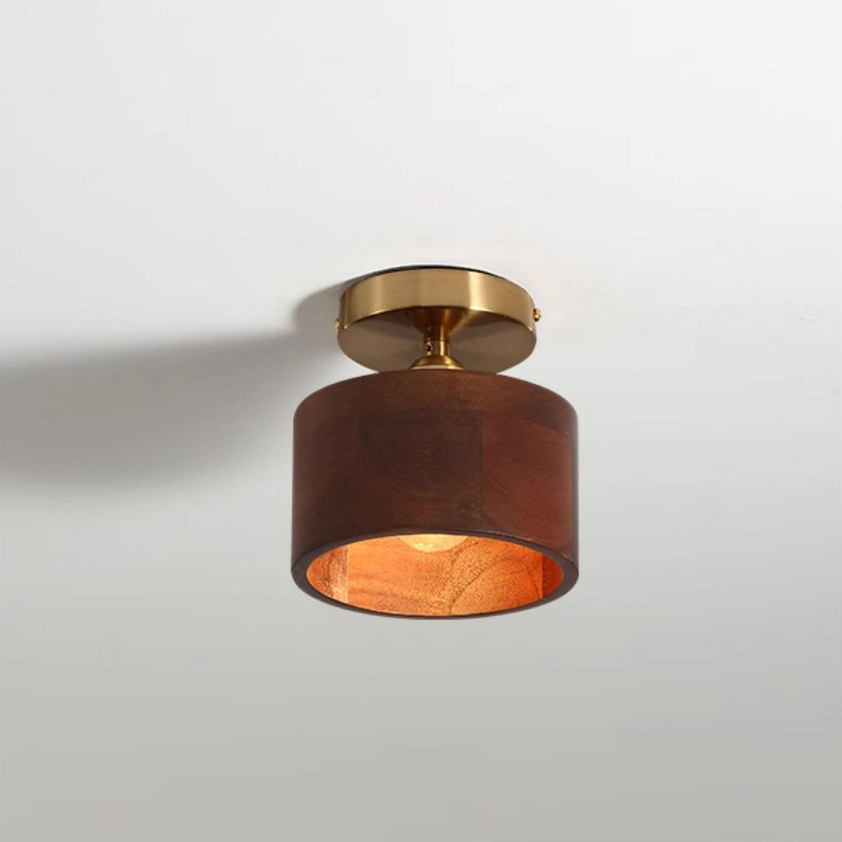 Lioruaya Ceiling Light