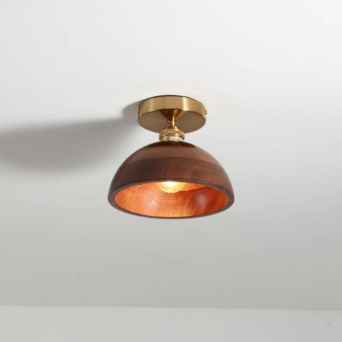 Lioruaya Ceiling Light