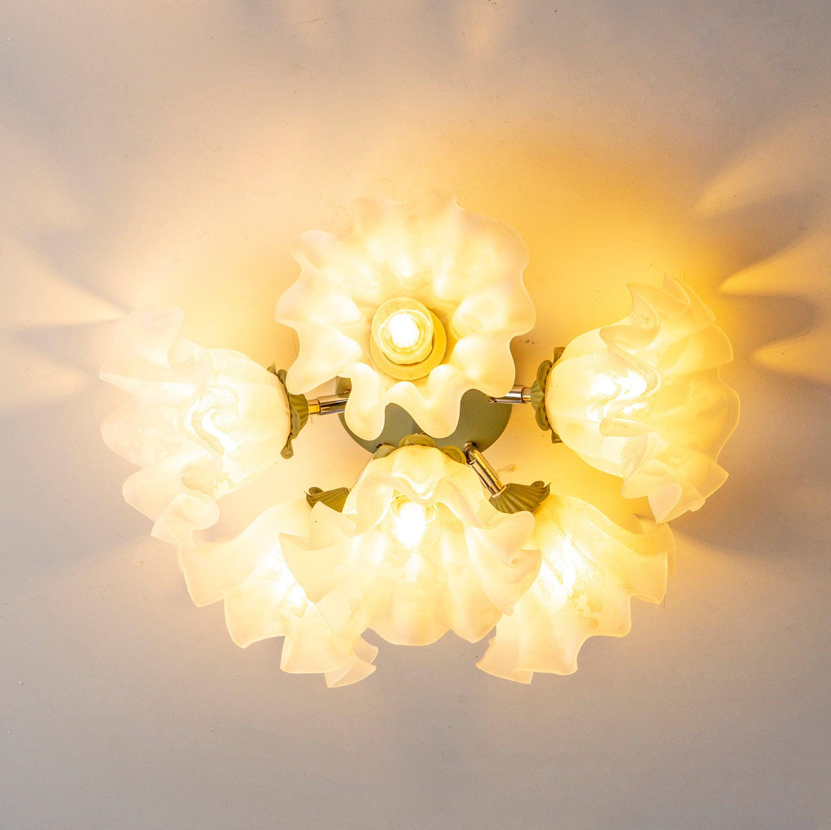 Cirorel Ceiling Light