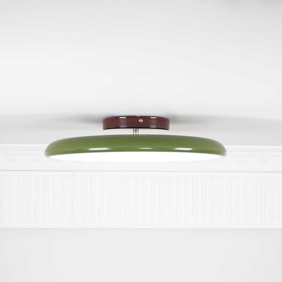 Elmsfield Adjustable Flush Mount Ceiling Light