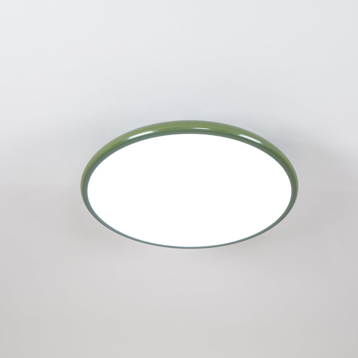 Elmsfield Adjustable Flush Mount Ceiling Light