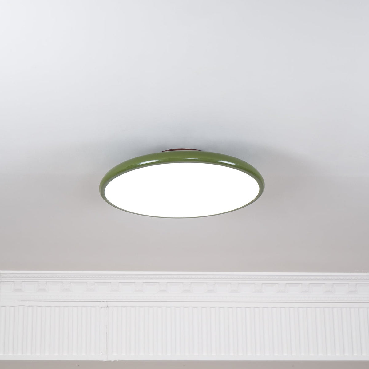 Elmsfield Adjustable Flush Mount Ceiling Light