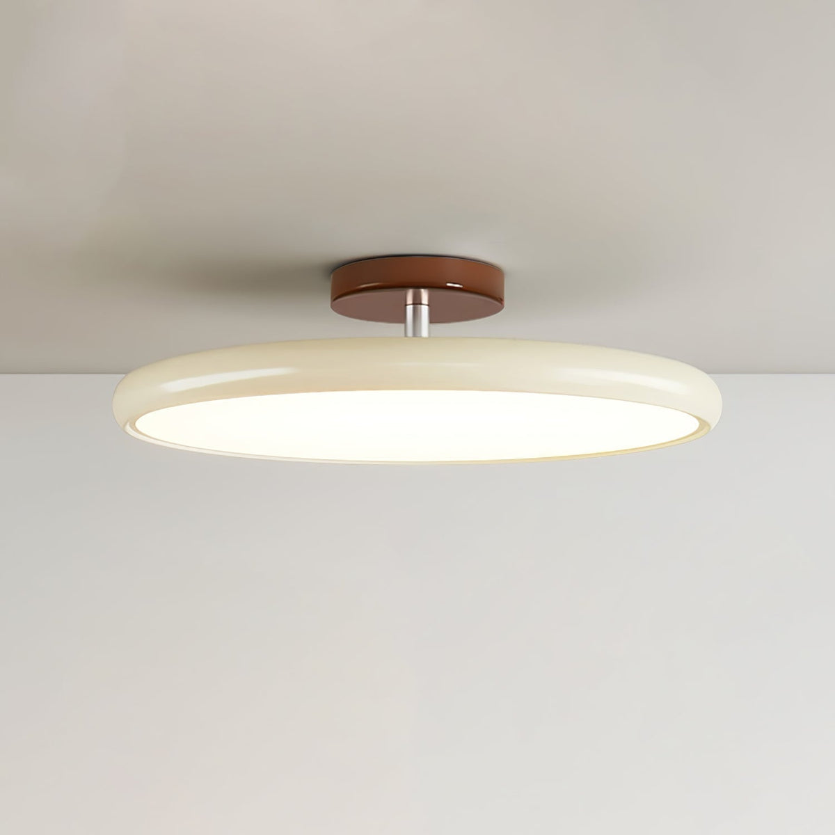 Borodam Adjustable Ceiling Light Colorful for Bedroom