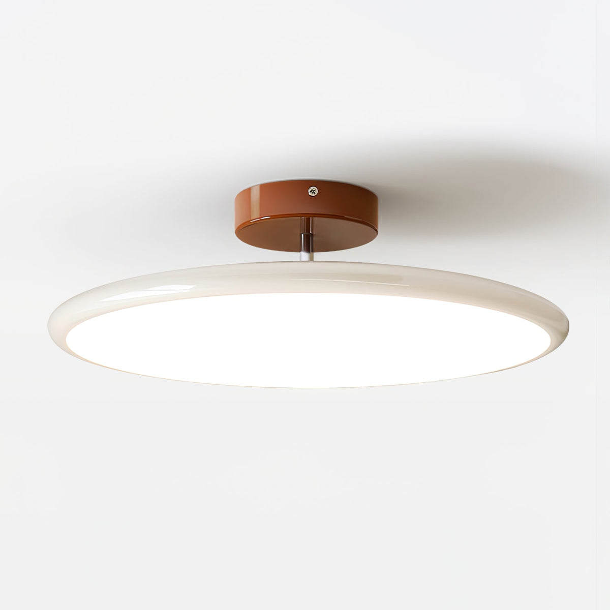 Elmsfield Adjustable Flush Mount Ceiling Light
