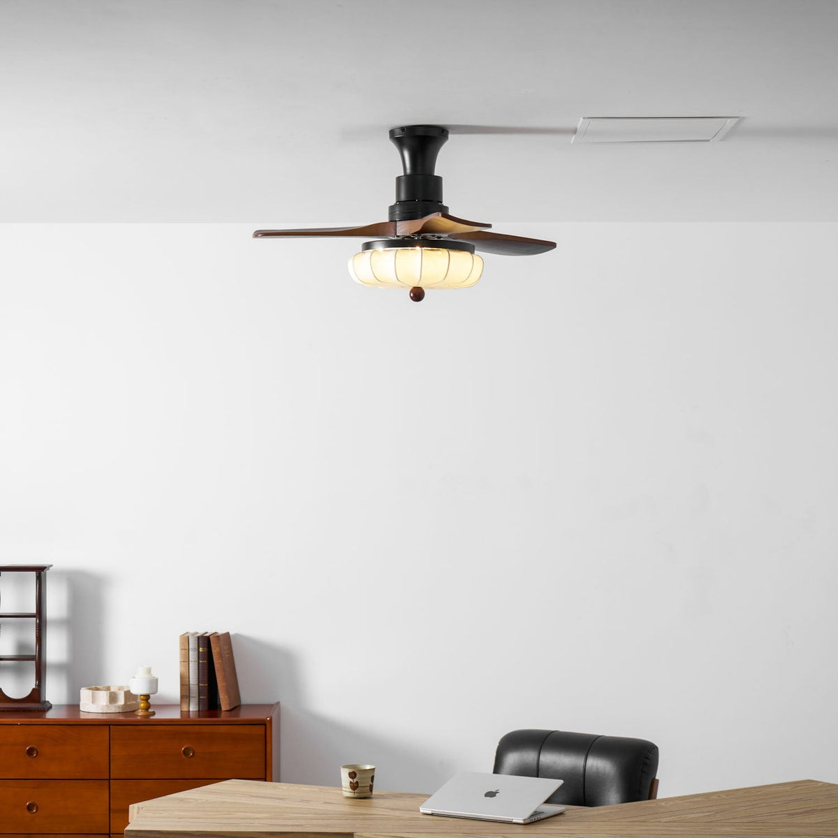 Miraina Ceiling Fan Light