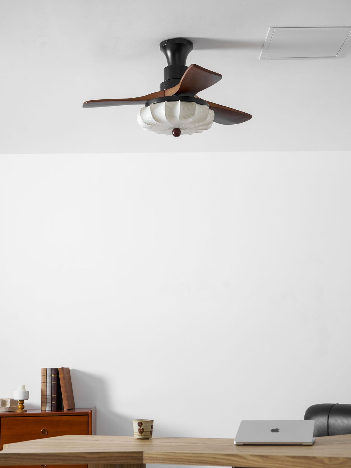 Miraina Ceiling Fan Light