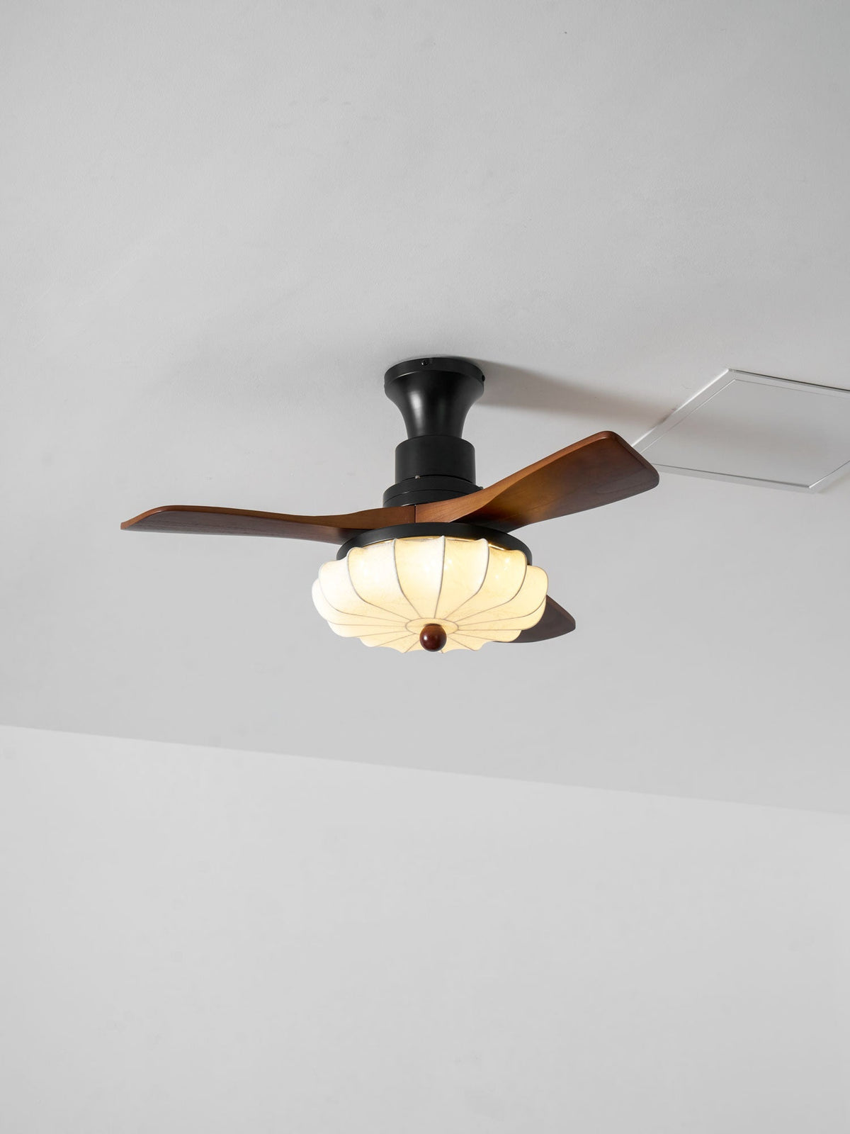 Miraina Ceiling Fan Light
