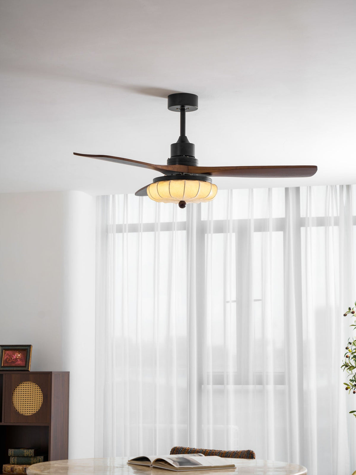 Miraina Ceiling Fan Light
