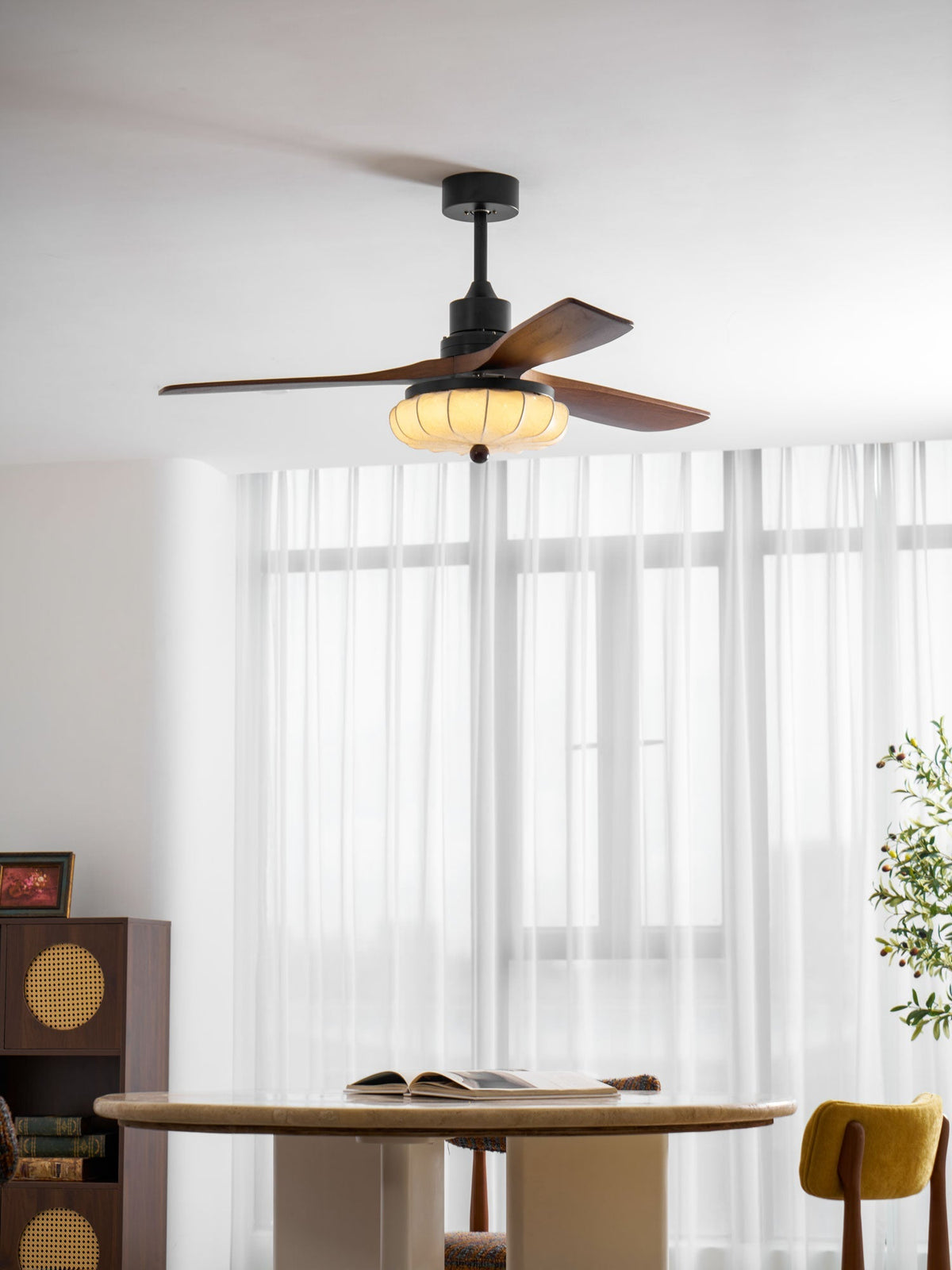 Miraina Ceiling Fan Light