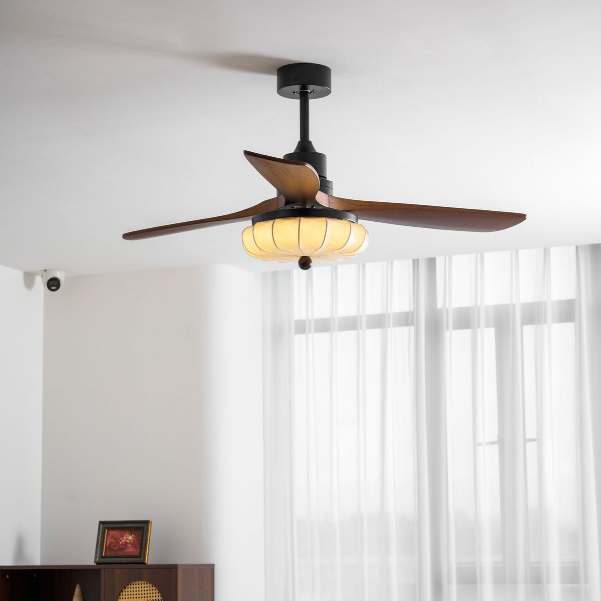 Miraina Ceiling Fan Light