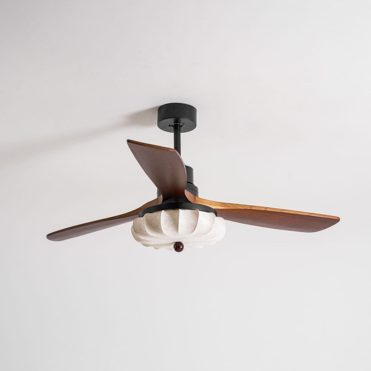 Miraina Ceiling Fan Light