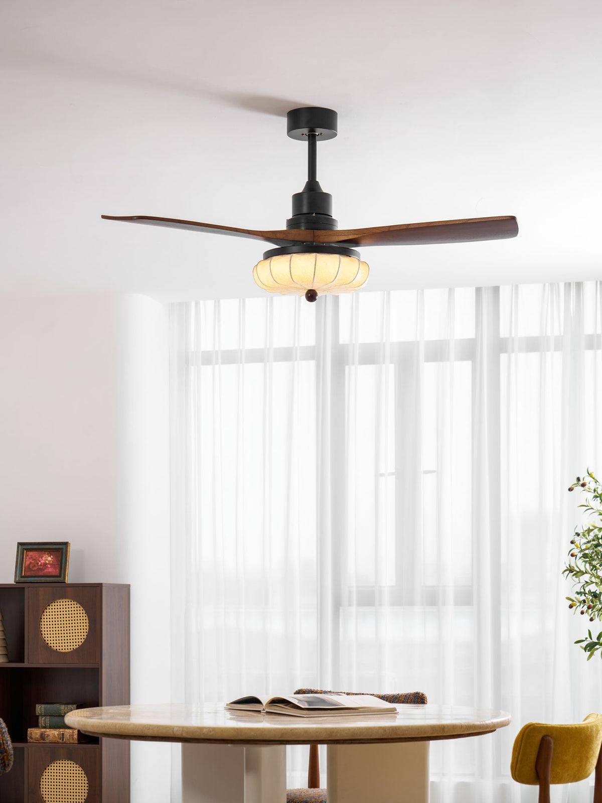 Miraina Ceiling Fan Light
