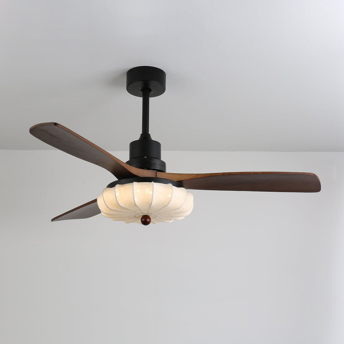 Miraina Ceiling Fan Light