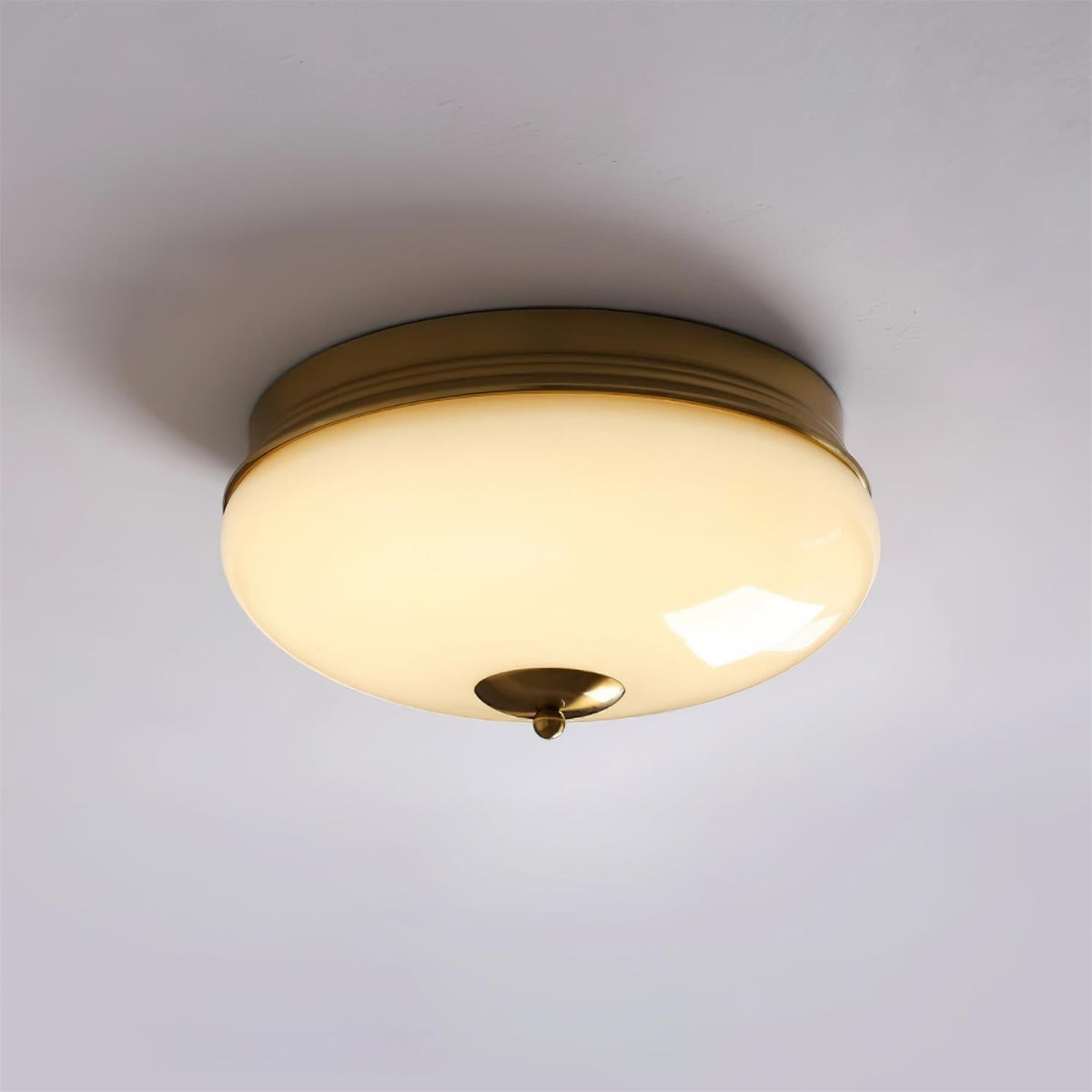 Elairine Ceiling Light