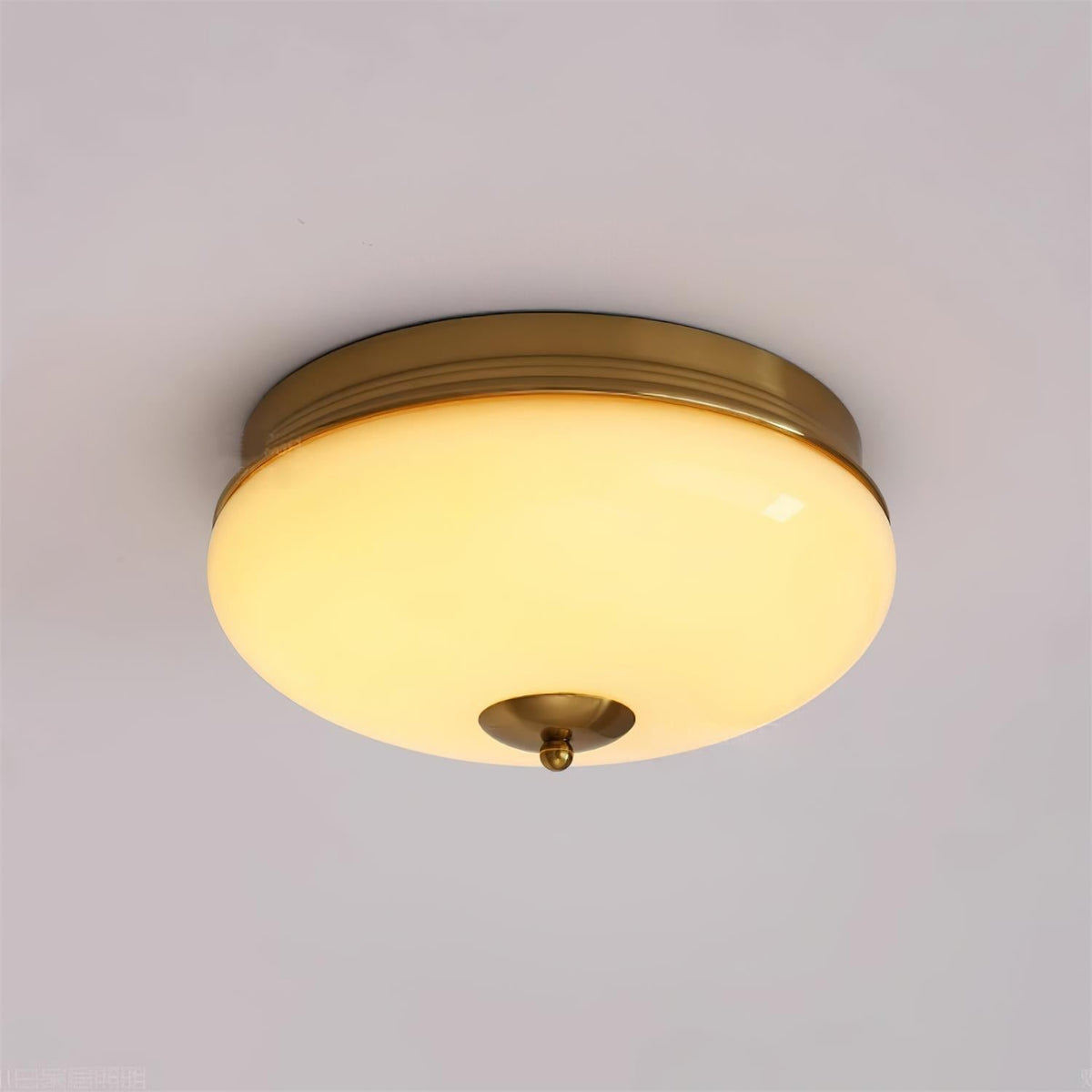 Elairine Ceiling Light