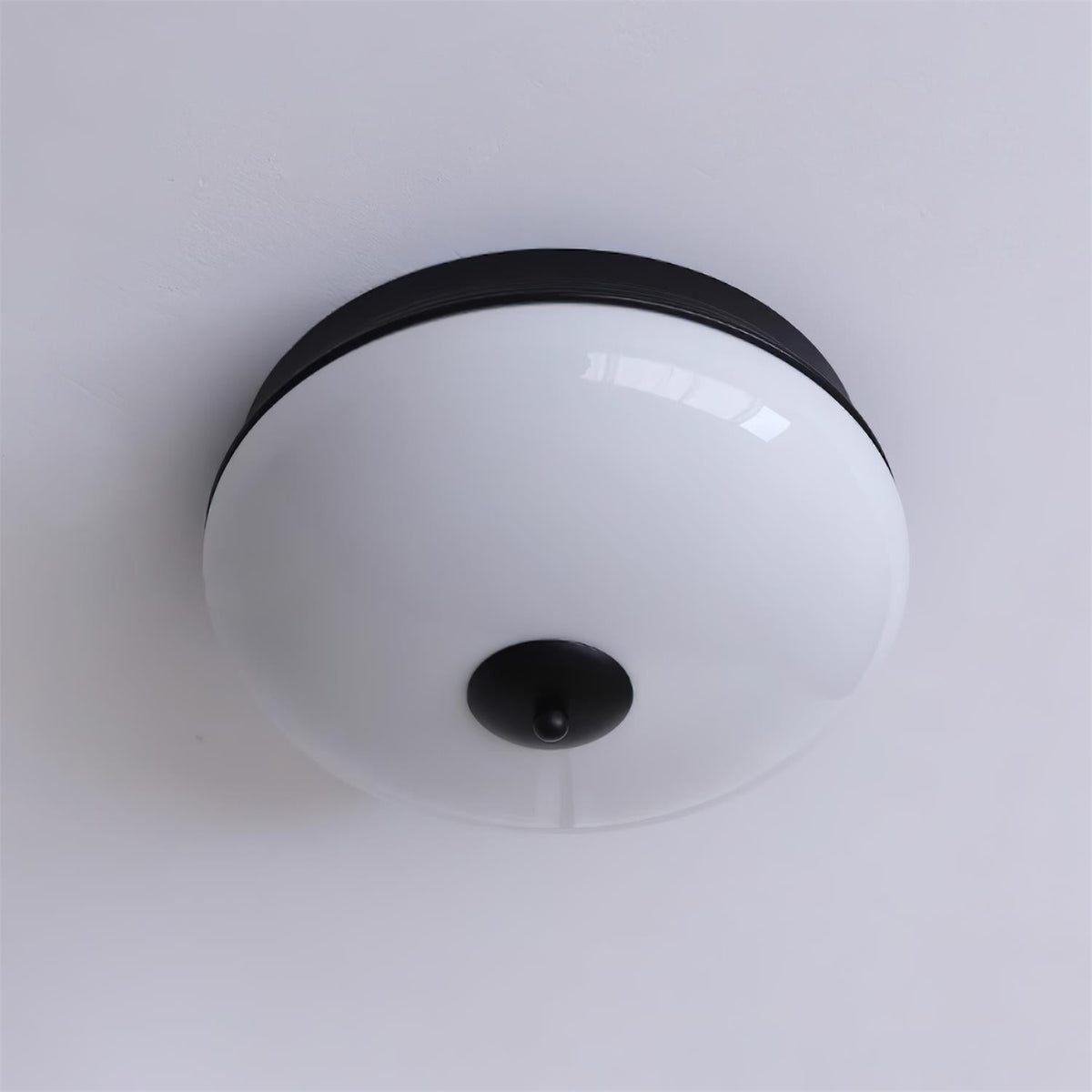 Elairine Ceiling Light