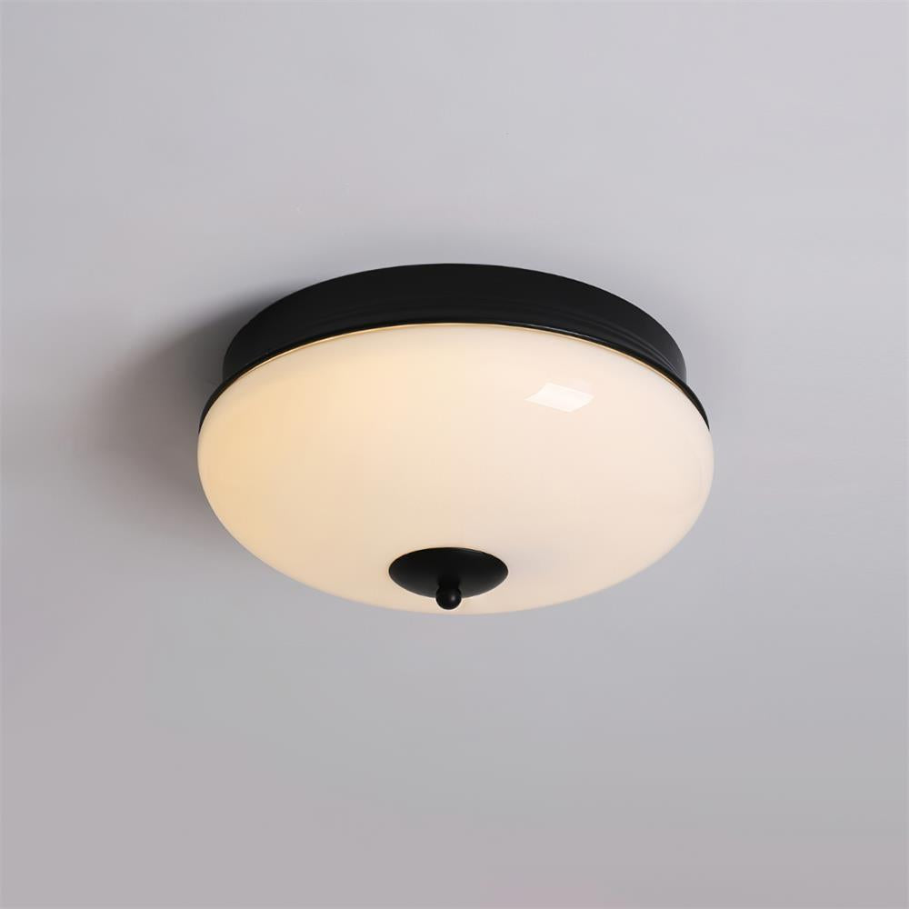 Elairine Ceiling Light