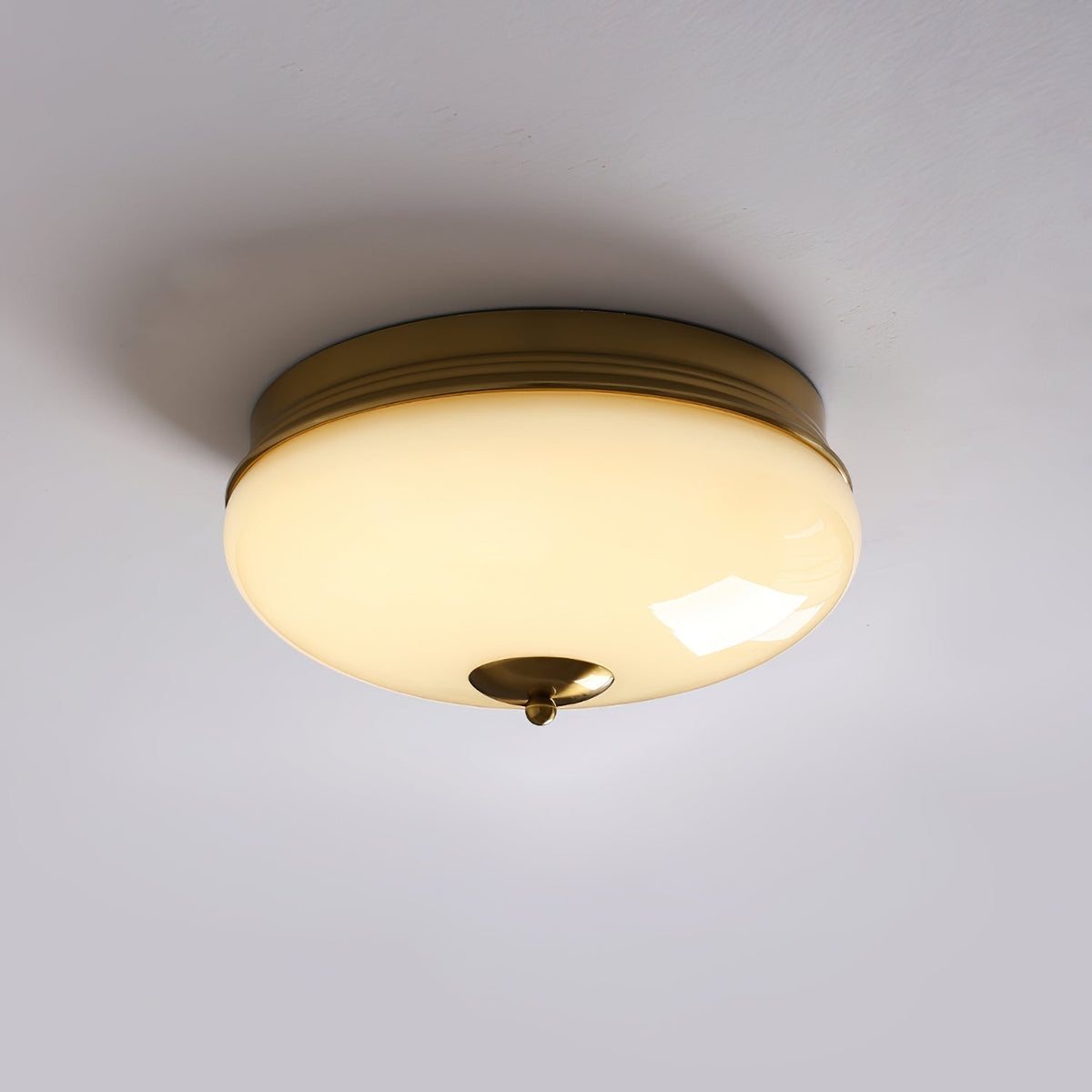 Elairine Ceiling Light