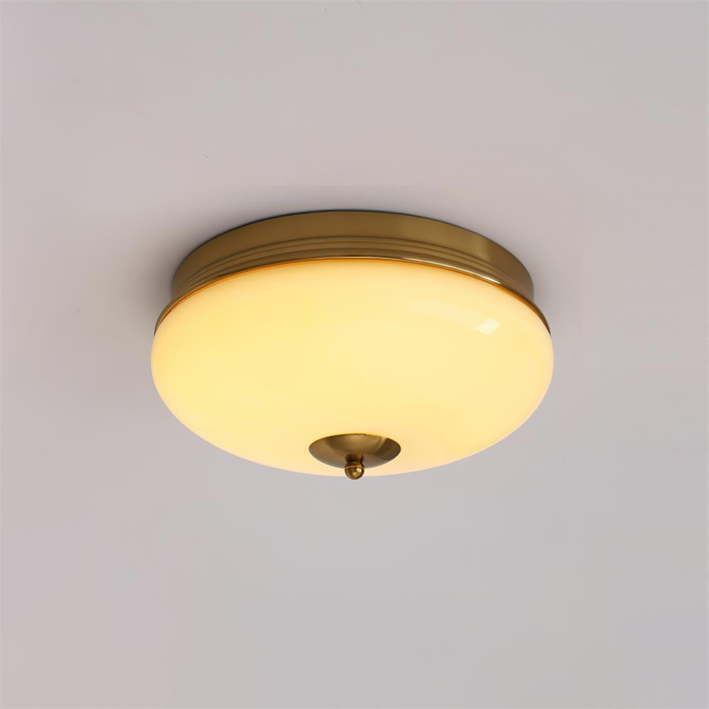 Elairine Ceiling Light