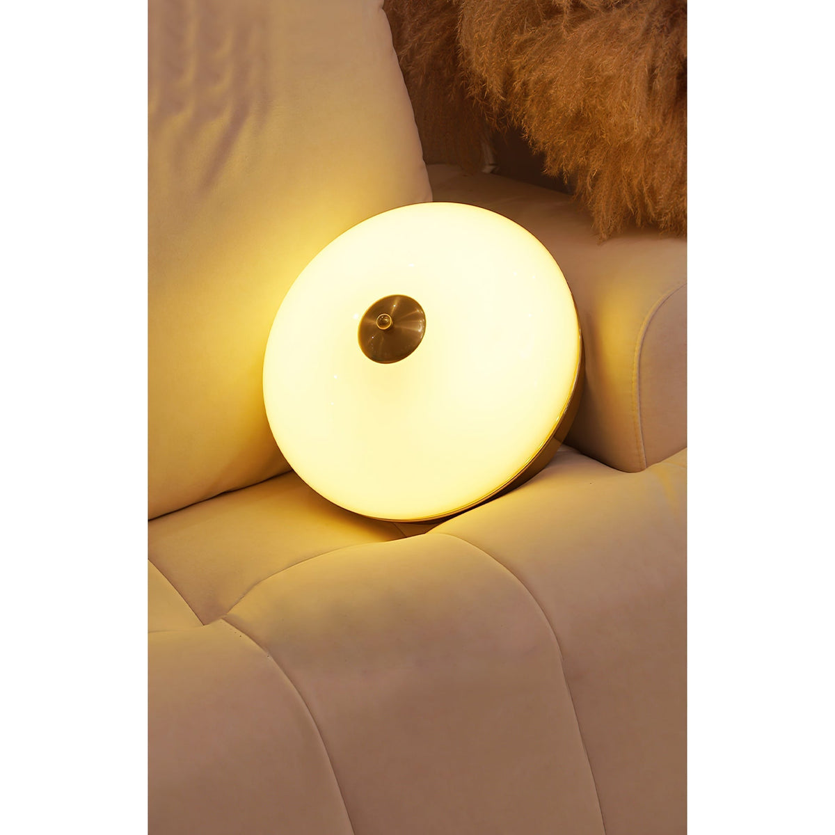 Elaalian Ceiling Light