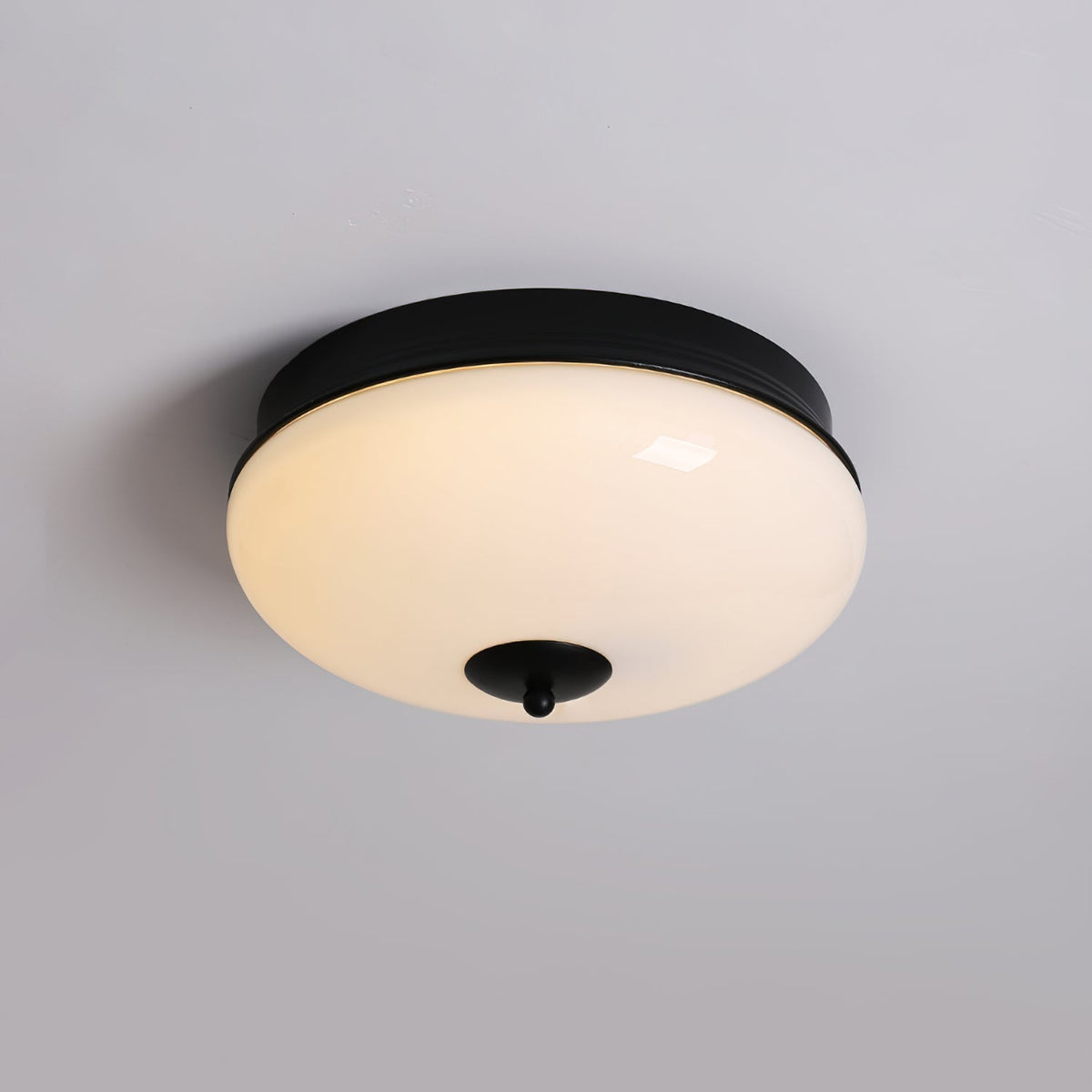 Elairine Ceiling Light