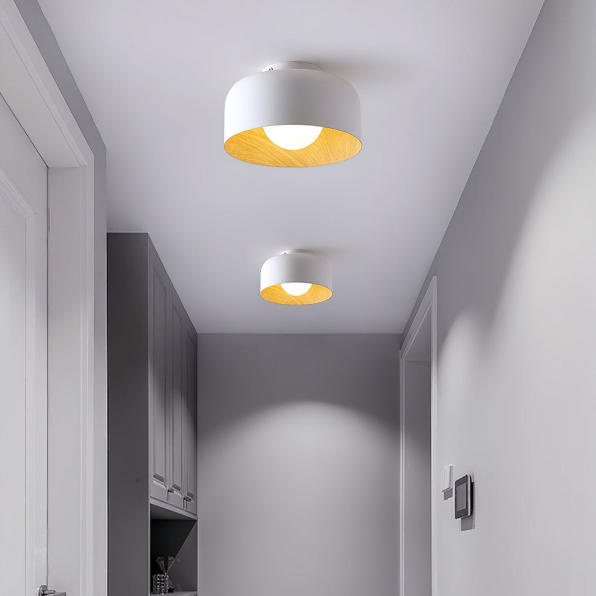 Elaerena Ceiling Light
