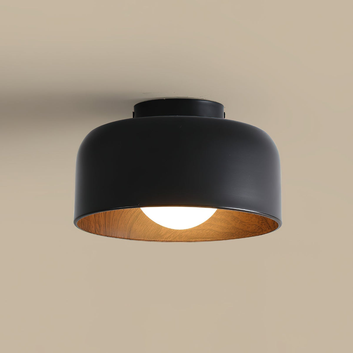 Elaerena Ceiling Light