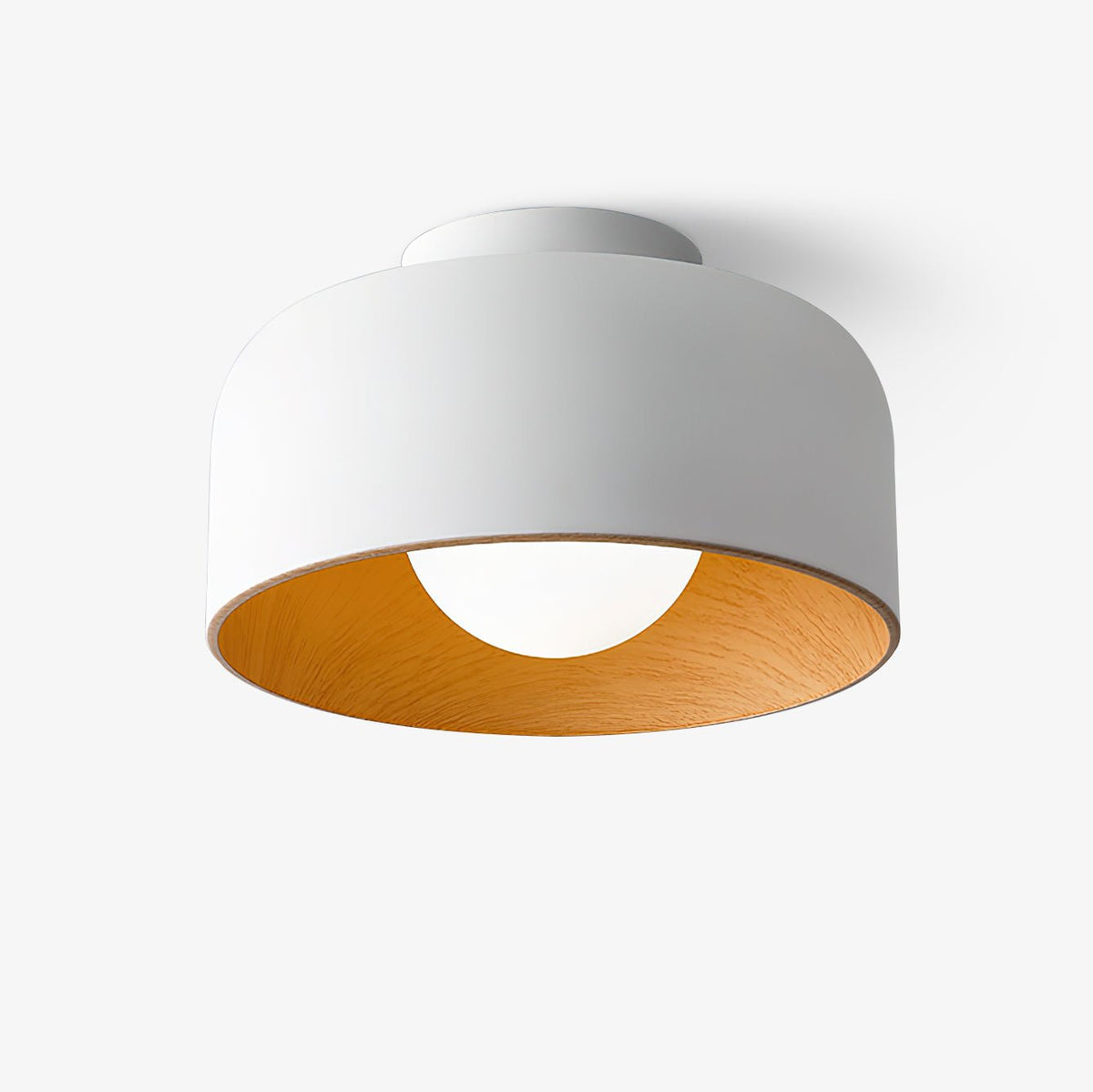 Elaerena Ceiling Light