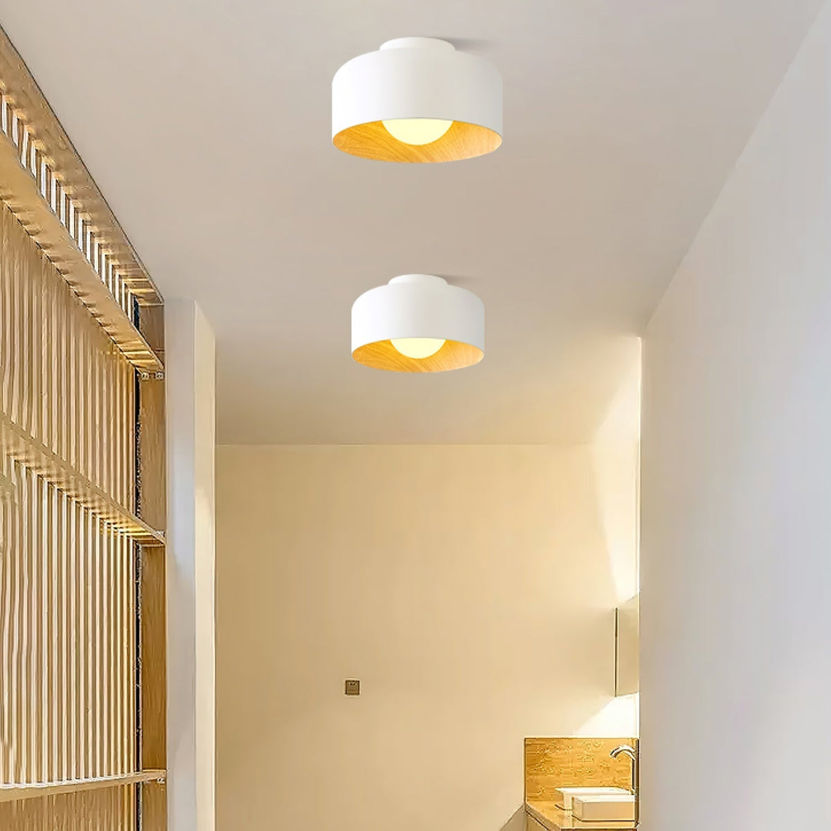 Elaerena Ceiling Light