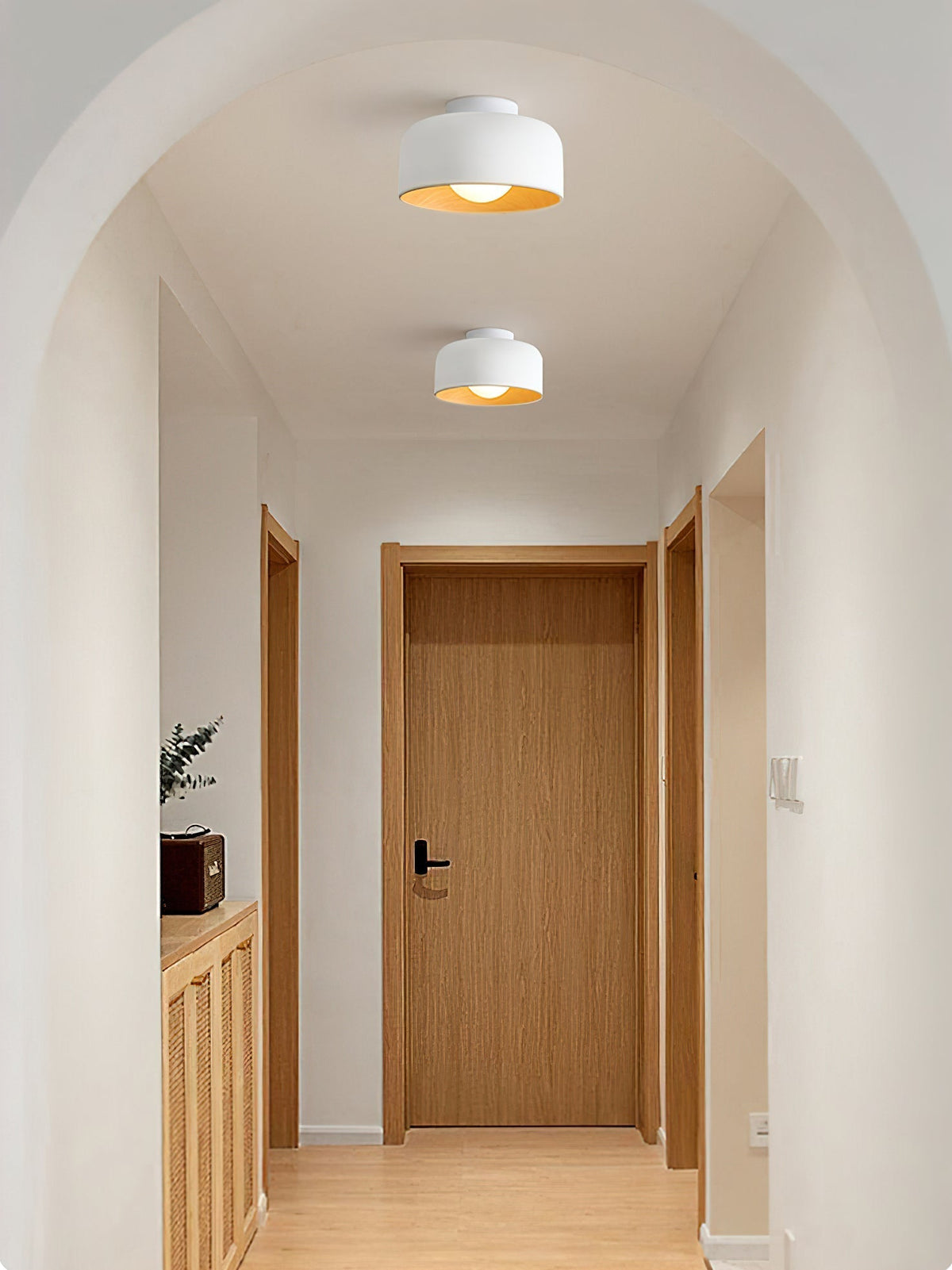 Elaerena Ceiling Light