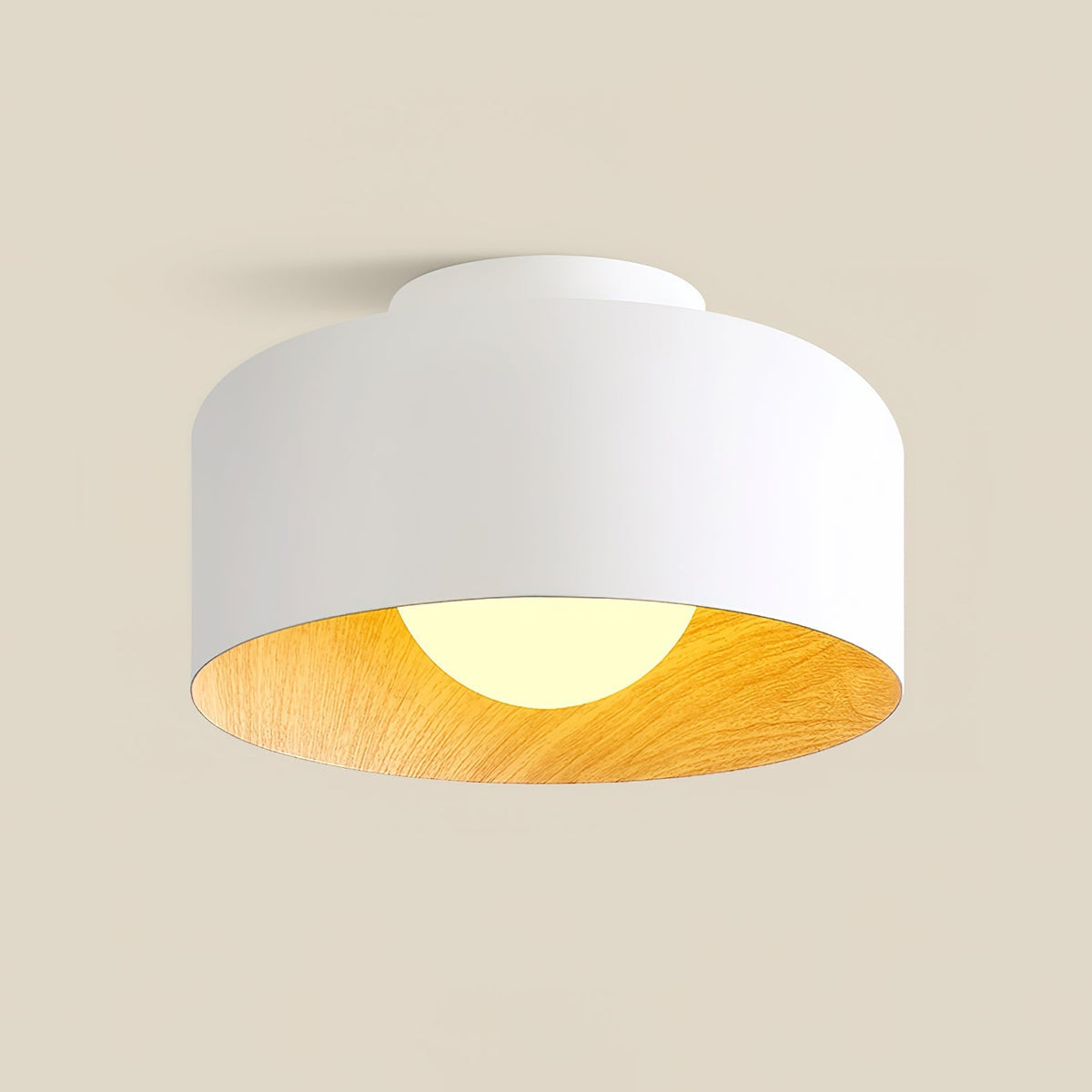 Elaerena Ceiling Light