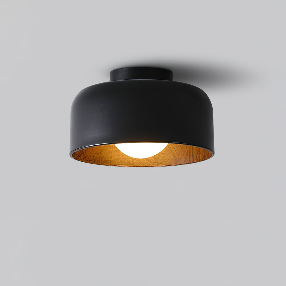 Elaerena Ceiling Light