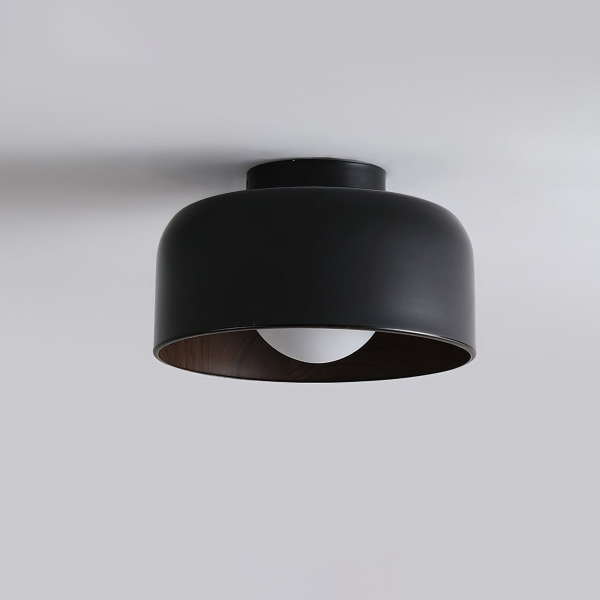 Elaerena Ceiling Light