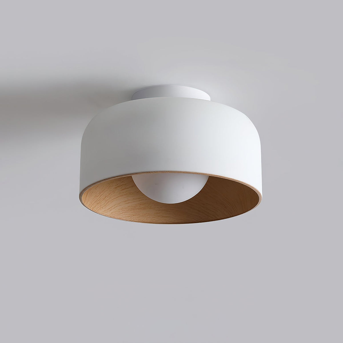 Elaerena Ceiling Light