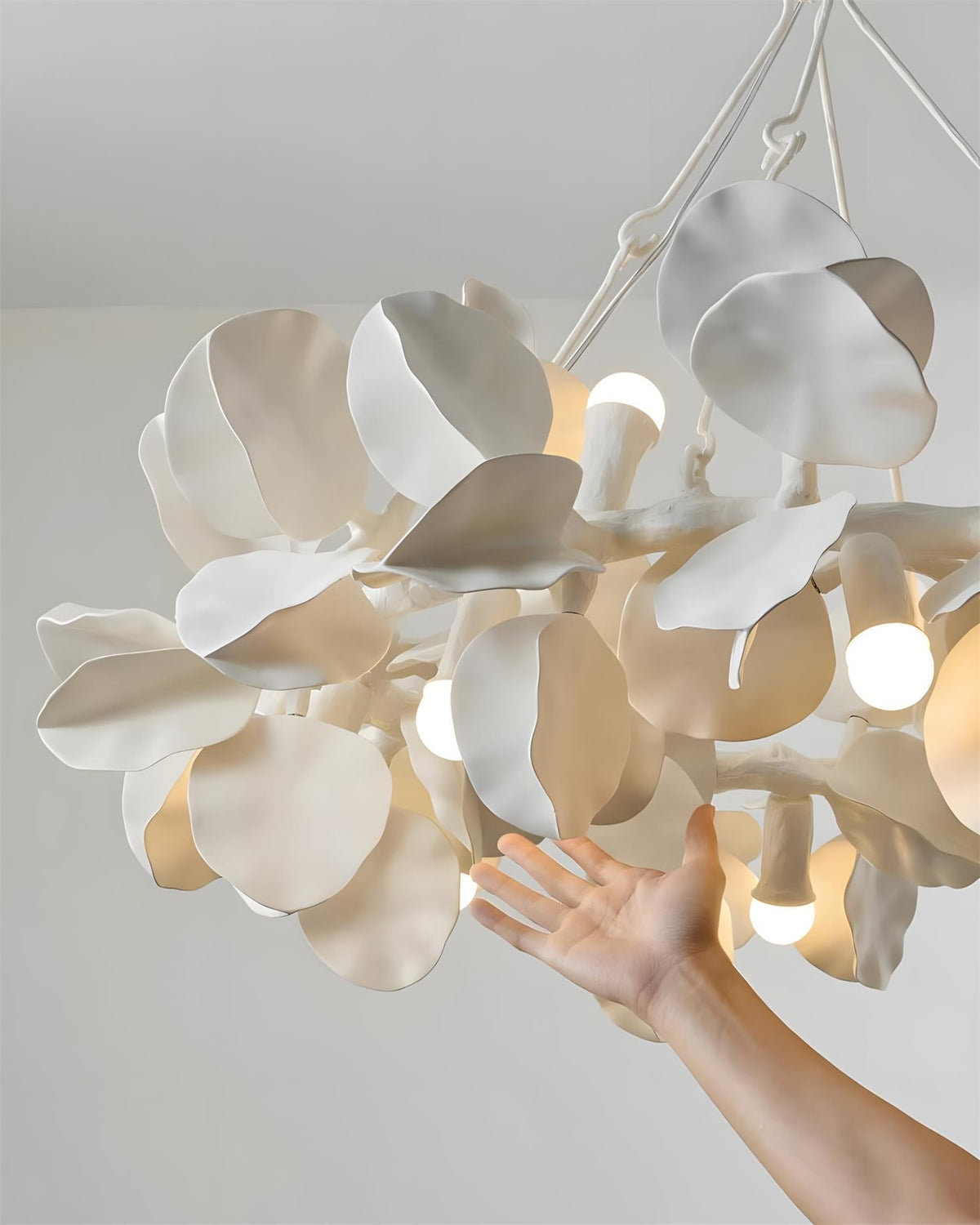 Soriella Crown Chandelier