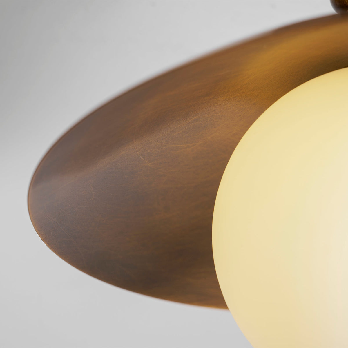 Terieneon Ceiling Light
